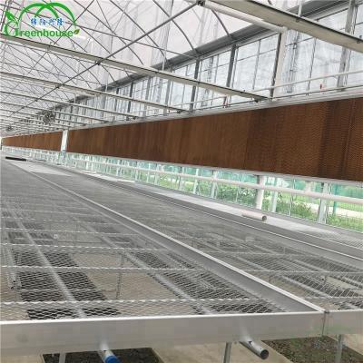 China Stable structure the cheapest greenhouse bearing benches with high quality for sale