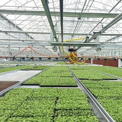 China Stable Structure Hydroponic Growing Systems Heat Insulation Material Smart Glass Greenhouses For Farm Planting for sale