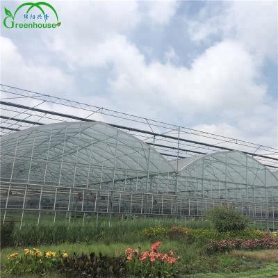 China Waterproof High Quality Greenhouse Cooling Systems With Low Price for sale