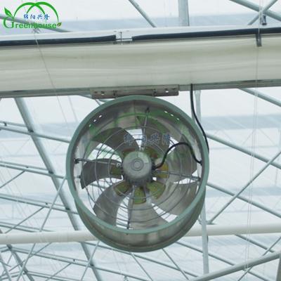 China Stable Structure Easily Assembled Commercial Greenhouse Air Circulation Fans For Circulating Air Flow Fan for sale