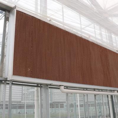 China Evaporative High Efficiency High Quality Greenhouse Cooling Systems Wet Curtain Evaporative Cooling Pad for sale