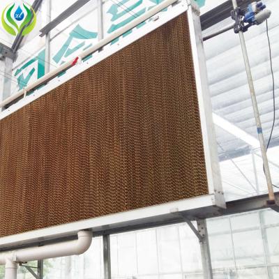 China High Efficiency Evaporative Greenhouse Automation System Cooling Pad Other Agriculture Products for sale