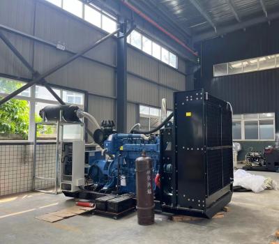 China 50hz 60hz Container à prova de som Tipo aberto Gerador elétrico contínuo de 200KW 250KVA movido a GLP à venda