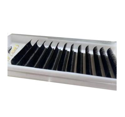 China Long 0.03 0.05 0.07 Eyelash Extension Trays Eyelash Extension Supplies Natural Wholesale Good Quality Eyelash Volume Extensions for sale