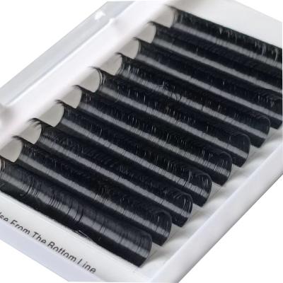 China Natural Wholesale False Mink Eyelash Extensions Eyelash Extensions Korea Long Eyelash for sale