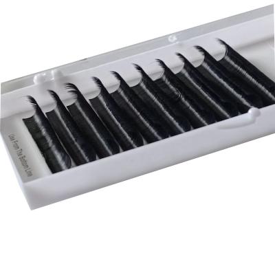 China Wholesale Natural Long Eyelash Extension Fan Cashmere Eyelash Extensions Mink Mink Eyelash Extension for sale