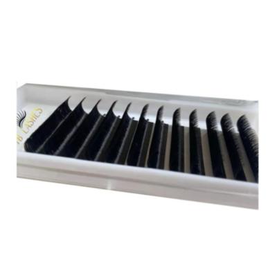 China Long Fan Private Label Eyelash Extension Russian Mink Volume Eyelash Extension Natural Easy Eyelash Extensions for sale