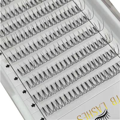 China Eeasy To Take Korea 3D 4D 5D 6D 10D Pre Made Eyelash Extension Fans Metallic Heat Pre Made Fans Eyelash-Extensions for sale