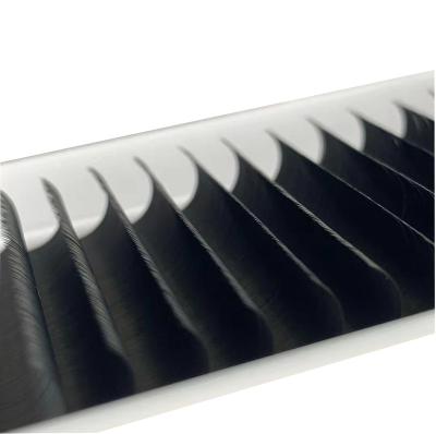 China One Individual Eyelash Extension Lash Supplies from Lash Extension Trays Classic Eyelash Volume for sale