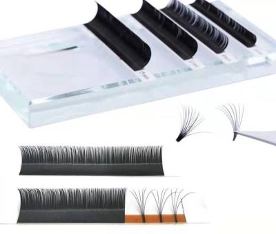 China Eye To Make Volume Eyelash Extension Volume Lashes False Mink Fans Blooming Eyelashes Easy for sale