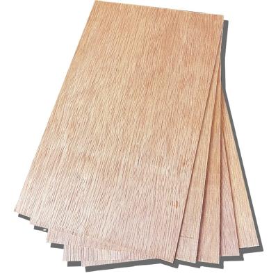 China China factory wholesale 3mm modern poplar material laminated plywood for sale for sale