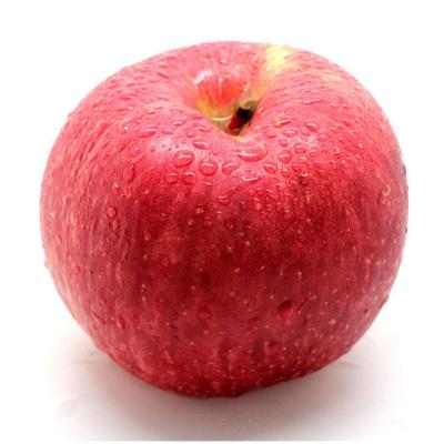 China Tianshui Fresh High Quality Wholesale Fresh Fruit Fuji Red Apple for sale