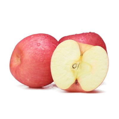 China Fresh Chinese Bulk Fuji Fresh Juicy Red Apple for sale