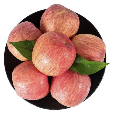 China China's High Quality Fresh Fruit Producing Fuji Delicious Fresh Delicious Sweet and Tasty Red Apples for sale