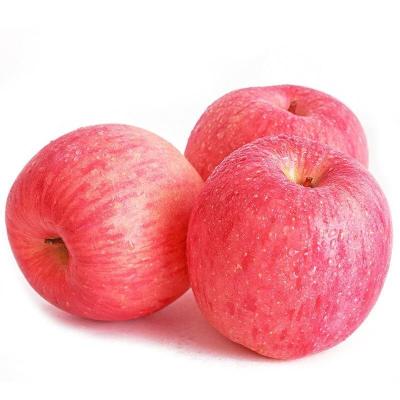 China Fresh hot selling reasonable prices of new fresh delicious ripe fruit fruit red Fuji fresh apple for sale