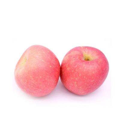 China Fresh Cheap Price Buy Fuji Apple Fresh Red Fruit for sale