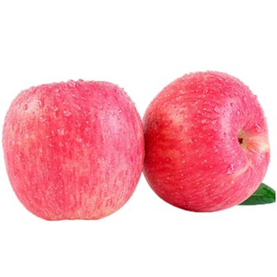 China Fresh Ripe Fresh Fuji Red Sweet Apple From Chinese Fruit Supplier for sale