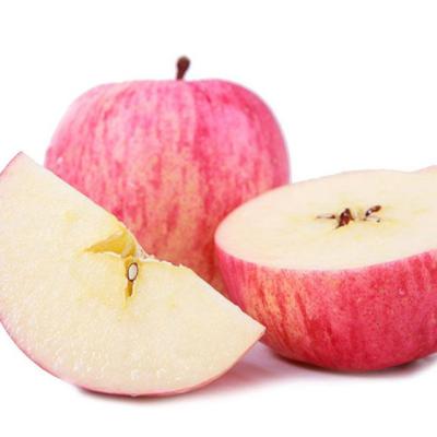 China Large Size Bulk Apple Fuji Red Fresh Cultivation Fresh Apple Chinese Red Apple for sale