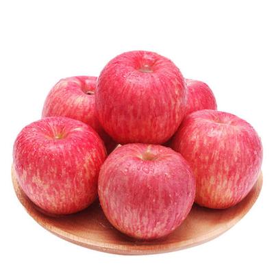 China Best Selling Coupons Grade Fresh Export Country New Fuji Red Apple for sale