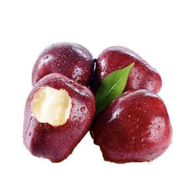 China Huaniu 80# Fresh Bulk Red Apple Fruit Chinese Supply for sale