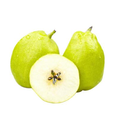 China Natual & healthy wholesale fresh price sweet fruit pear for sale