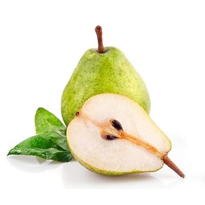 China China High Quality Fresh Crown Fruit Sweet Pear for sale