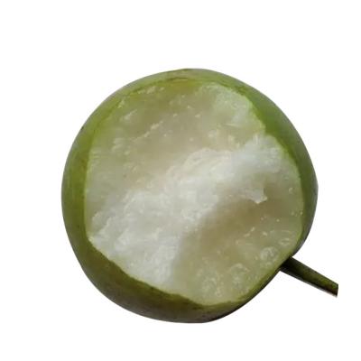 China China Fresh Wholesale Export Buy Green Bulk Pear for sale