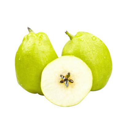 China 2021 low price fresh high quality export fresh fruit chinese pear for sale