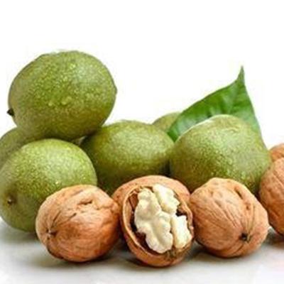 China Direct sale style dry raw high quality cheap walnuts for sale