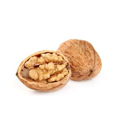 China Wholesale Cheap Price Chinese Green Dry Walnuts For Sale for sale