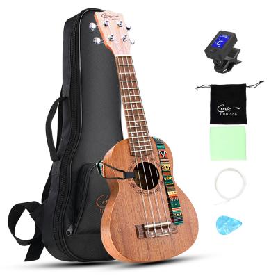 China Mahagony Plates Hricane Soprano Ukulele 21 Inch Mahogany Ukuleles For Beginners With Gig Bag Strings for sale