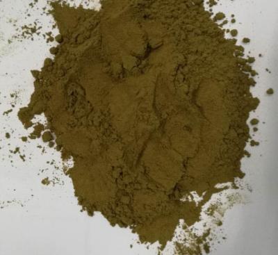 China Supply Aloe Ferox Powder With Best Price 100% Pass 80 Mesh for sale