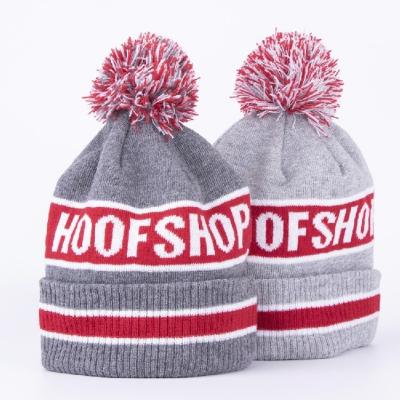 China COMMON COMMON Design Promotional Custom Your Own Logo Winter Knitted Cool Hat for sale