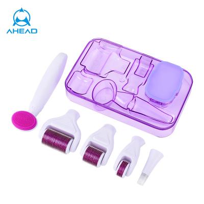 China Wholesale Newest Medical Stainless Steel Factory 6 in 1 Genuine Derma Roller Metal Kit Roller Microneedle RF Facial Massager Pins Derma Roller for sale