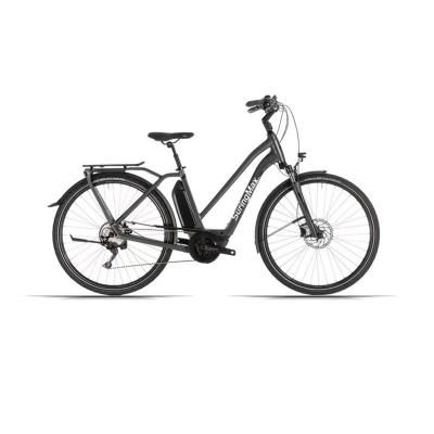 China Fast shipping aluminum alloy in India ebike full suspension electric mountain bike 250W 500W 1000w for sale