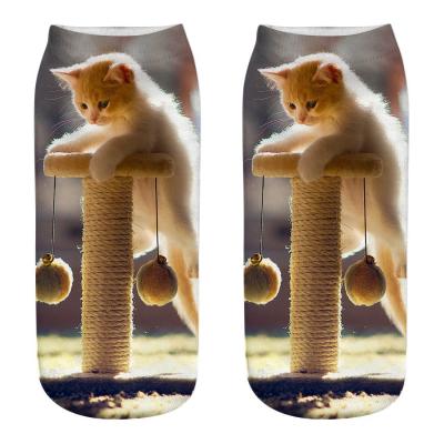 China Wholesale QUICK DRY no MOQ sublimation copy bangs Amazon Unicorn Cat Custom Socks Printing cute animal for sale