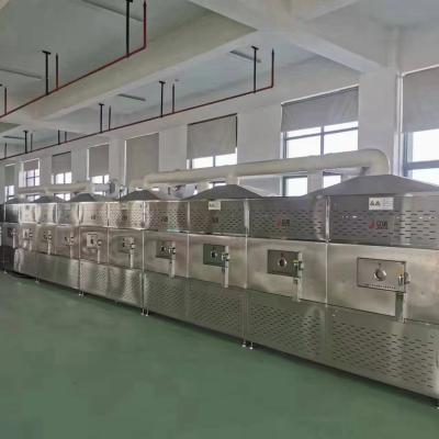 China Medicine treating good quality low cost tunnel microwave drying equipment, new microwave dryer for sale for sale