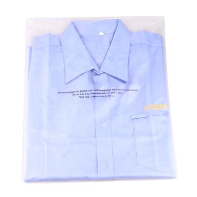 China Recyclable Cheap Plastic Custom Self Adhesive Transparent Garment Packaging Bag Poly Frosted Self Seal Bag for sale