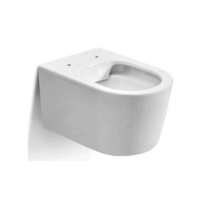 China Double-flush WDSI Hotel Toilet With Bidet Wall Mounted Lavatory Complete Set Wall Hung Toilet Set for sale