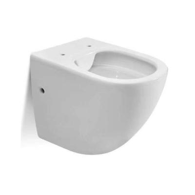 China Double-flow WDSI Home Modern Design Sanitary Ware Toilet Bowl Turkish Wc WC Fabia Manual Toilet for sale