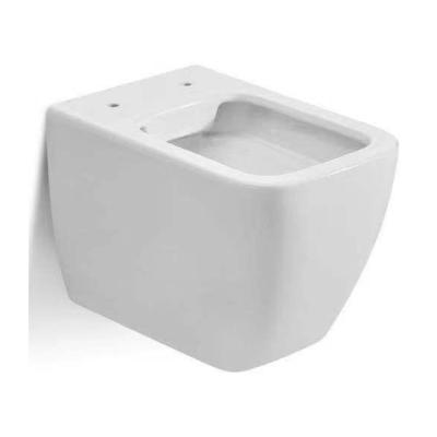 China Modern Toilet Hygiene Toilet Double-flush WDSI British Style Toilet With Bidet Function for sale