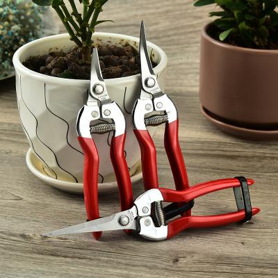 China Stronger Anti-Slip Handle Shears Tree Trimmers Gardening Scissors Pick Fruit Cutting Hand Pruner Garden Shears for sale