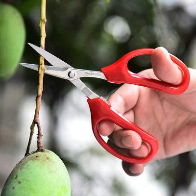 China Garden Cutting Shear Stainless Steel Pruning Scissors Grape Fruit Orchard Grafting Balancing Garden Scissors For Flower for sale