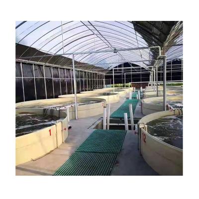 China Oyster & Indoor Fish & Shrimp & A Crab RAS Food Grade PP Recycling Aquaculture Farming System Equipment For Sale for sale