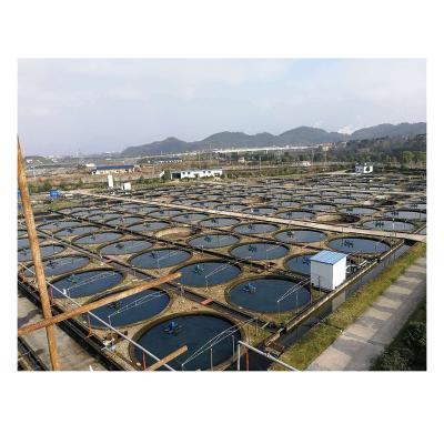 China Food Grade PP Fish Rass Recycling Aquaculture System Tilapia Lobster Fish Farm Indoor Freshwater Rass Recycling Aquaculture System for sale