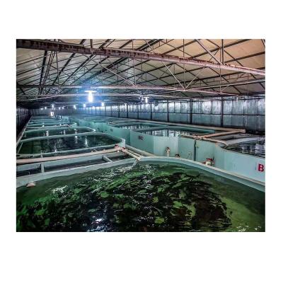 China Food Grade PP Drum Filter Recycling Integrated Recycling Aquaculture System For Shrimps for sale