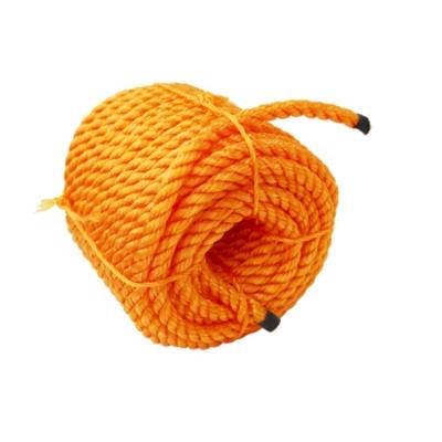 China Durable Professional Manufacturer Direct Sale Diameter 4 To 40mm Durable Color Fish Rope for sale