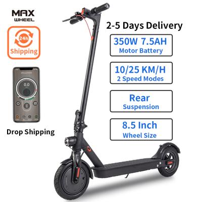 China 2022 citycoco foldable drop shipping scooter 350w model wheel disc brake unisex electric scooter for sale