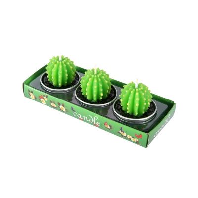 China POSINDA Candle Votive Wholesale Succulent Cactus Candles 3 Pack Birthday Paraffin Wax Candles Creative Aromatic Candle Set for sale