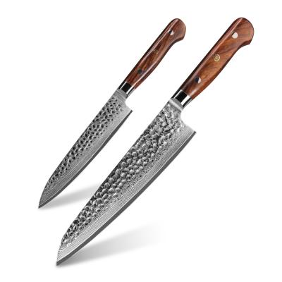 China High Quality Disposable 2pcs Kitchen Accessories Damascus Steel Chef Knife Set With Ironwood Handle for sale